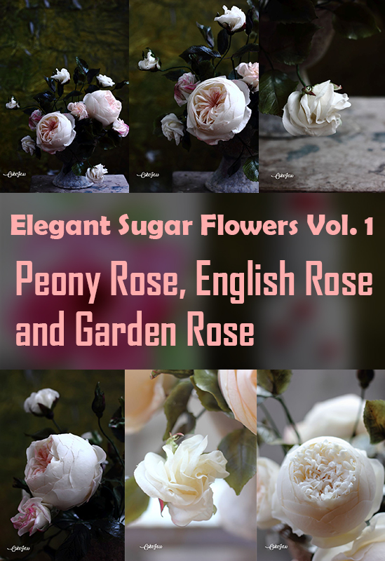 featured-img-peony-rose-english-rose-and-garden-rose