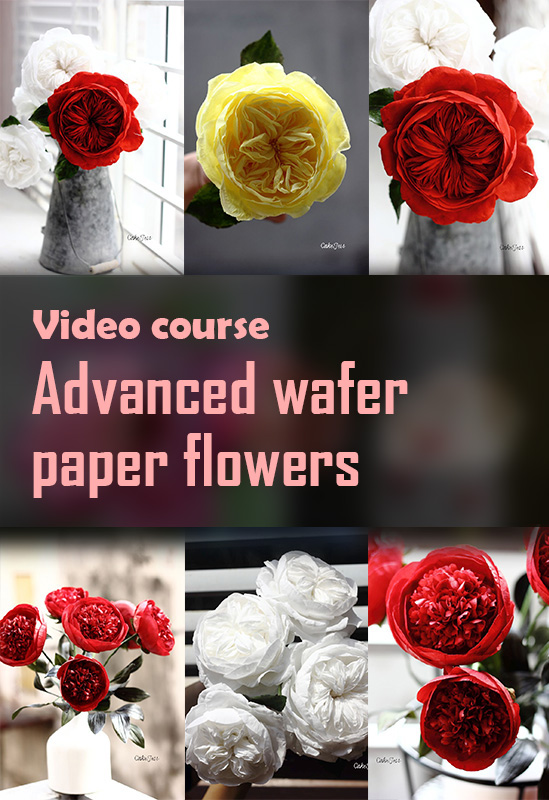 wafer-paper-flowers-with-silky-smooth-colors-featured-img-2